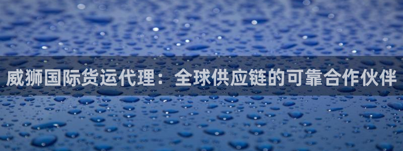 尊龙手机官方客户端下载安卓：威狮国际货运代理：全球供应链