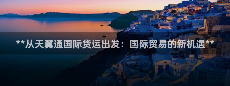尊龙ag：**从天翼通国际货运出发：国际贸易的新机遇**