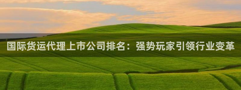 尊龙人生就是博管网：国际货运代理上市公司排名：强势玩家引