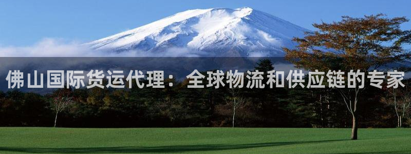 尊龙手机官方客户端下载安装：佛山国际货运代理：全球物流和