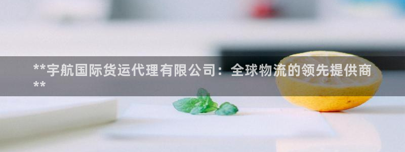 尊龙人生就是博官：**宇航国际货运代理有限公司：全球物流