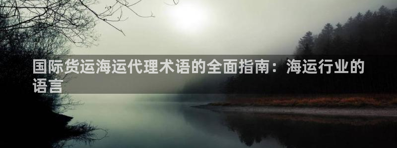 ag旗舰平台尊龙代言：国际货运海运代理术语的全面指南：海