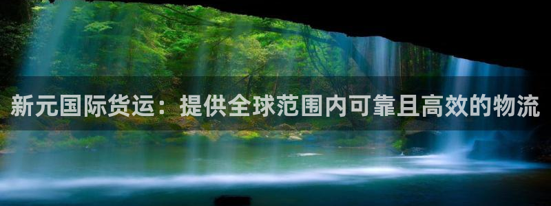 尊龙体育电竞官网：新元国际货运：提供全球范围内可靠且高效