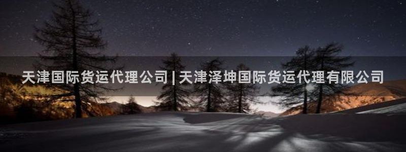 尊龙人生就是博下载：天津国际货运代理公司 | 天津泽坤国