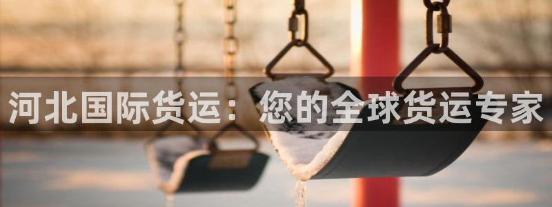尊龙凯时产品种类：河北国际货运：您的全球货运专家