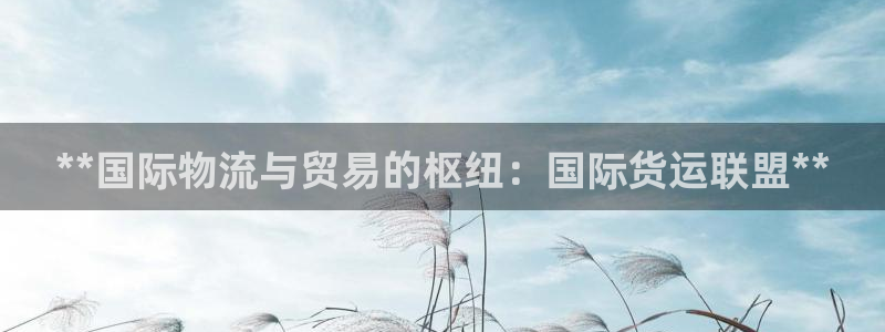 尊龙凯时ag旗舰厅官：**国际物流与贸易的枢纽：国际货运
