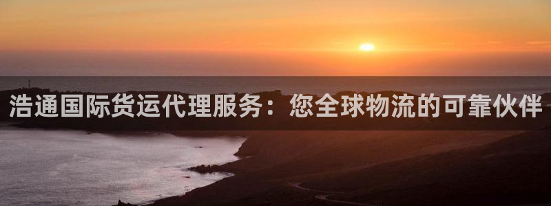 尊龙人生就是博一下阿扎尔：浩通国际货运代理服务：您全球物
