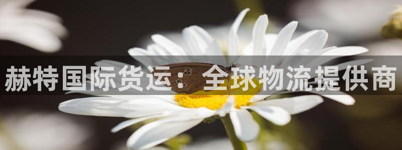 尊龙人生就是博D88：赫特国际货运：全球物流提供商