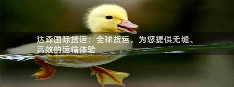 尊龙凯时和九游会哪个平台好一点：达森国际货运：全球货运，