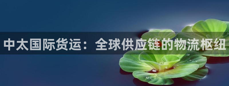 尊龙凯时能不能提现?