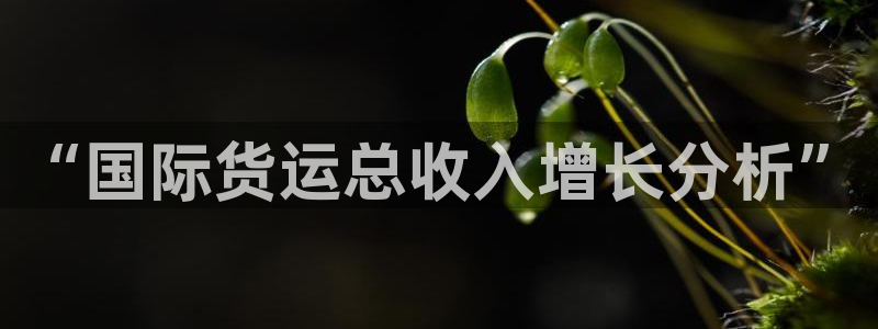 尊龙网站手机下载
