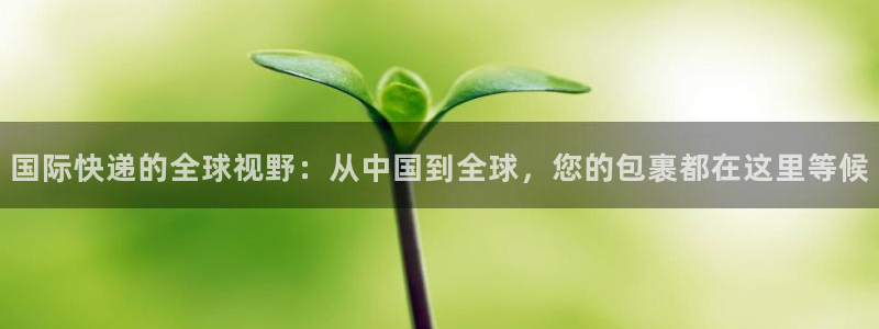 尊龙 贴吧