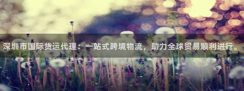 z6尊龙凯时旗