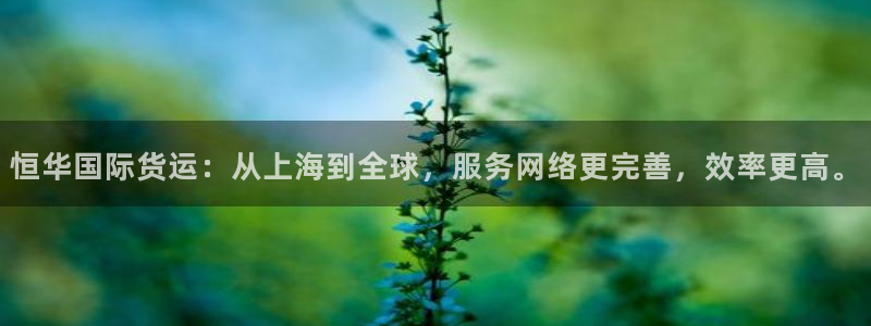 尊龙,人生就是搏