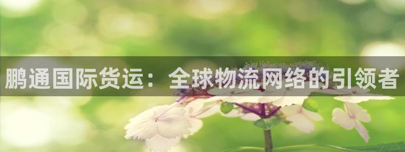 尊龙凯时-人生就是博中国官网最新