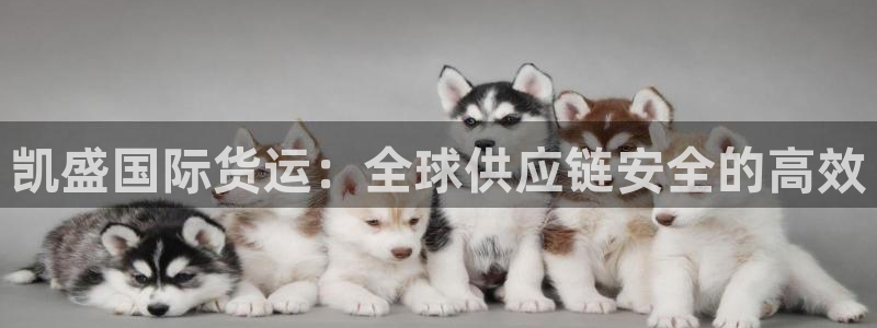 尊龙一人生就是博尊