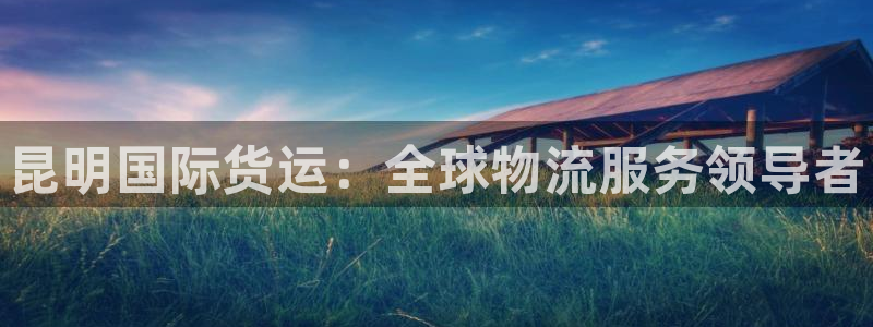 尊龙人生就是博官：昆明国际货运：全球物流服务领导者