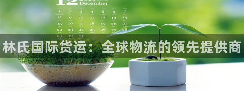 尊龙凯时集团：林氏国际货运：全球物流的领先提供商