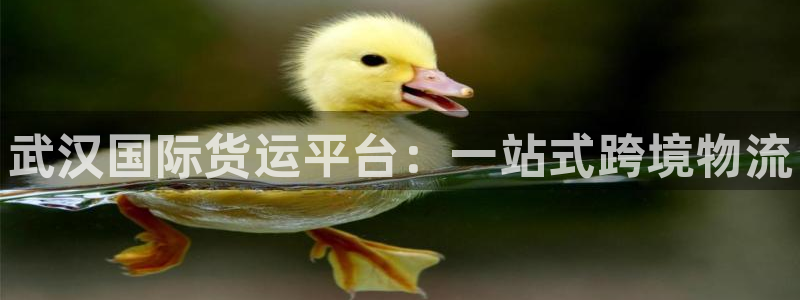 尊龙这个平台怎么样