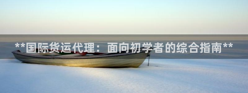 尊龙目前情况：**国际货运代理：面向初学者的综合指南**