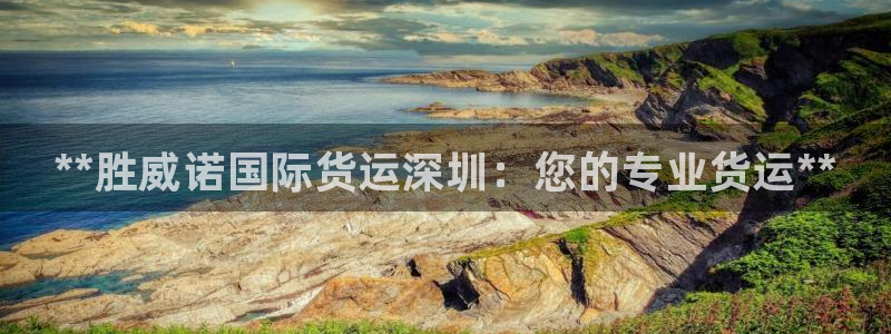 尊龙实业有限公司：**胜威诺国际货运深圳：您的专业货运*