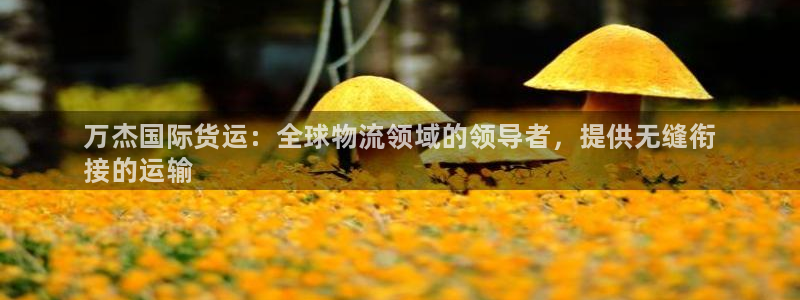 尊龙凯时推荐人：万杰国际货运：全球物流领域的领导者，提供