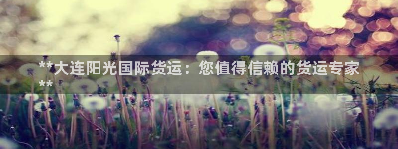 尊龙凯时人生就是搏官方网站：**大连阳光国际货运：您值得