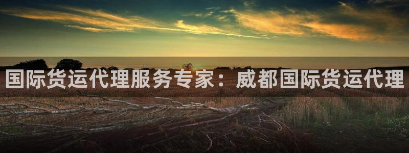 尊龙体育游戏平台：国际货运代理服务专家：威都国际货运代理
