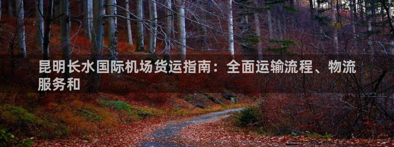 尊龙凯时一人生就是博官网：昆明长水国际机场货运指南：全面