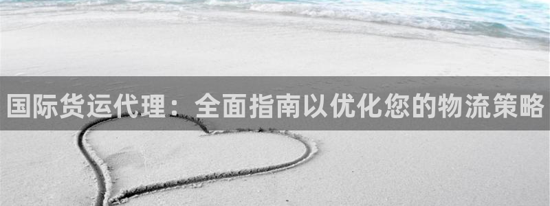 尊龙人生就是博客服：国际货运代理：全面指南以优化您的物流