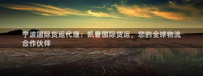 尊龙集团有限公司官网地址：宁波国际货运代理：凯普国际货运