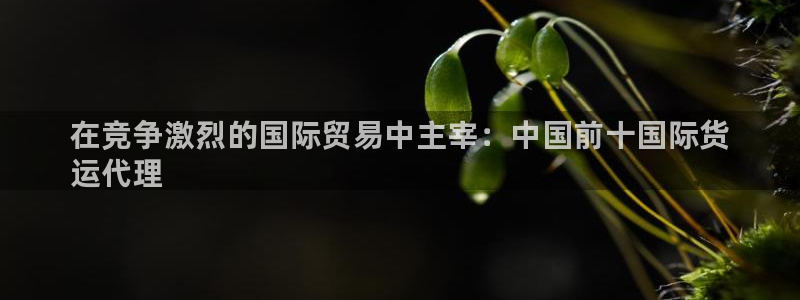 尊龙,人生就是博!登录国际：在竞争激烈的国际贸易中主宰：