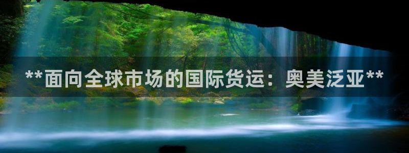 尊龙官网免费下载安卓：**面向全球市场的国际货运：奥美泛