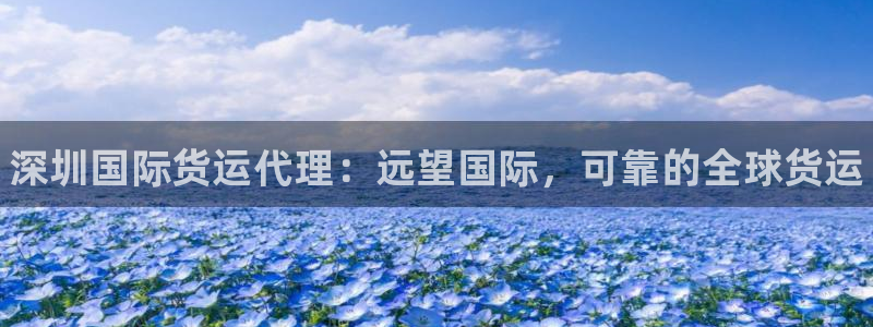 尊龙凯时是哪个国家的：深圳国际货运代理：远望国际，可靠的