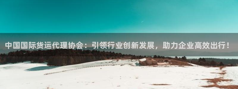 尊龙凯时旗舰厅官网：中国国际货运代理协会：引领行业创新发