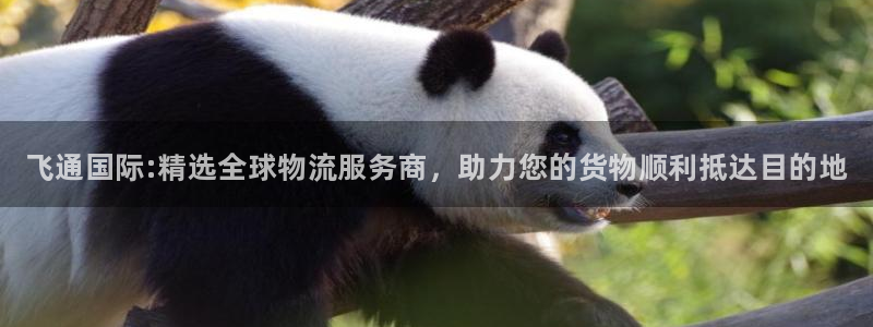 尊龙凯时 - 人生就是搏手机登录