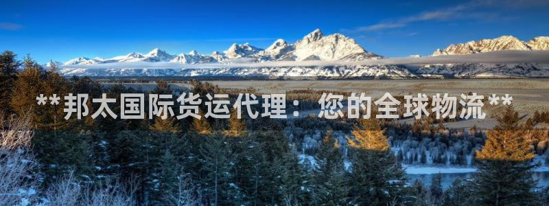 尊龙官网手机版下载：**邦太国际货运代理：您的全球物流*