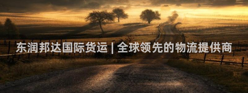 尊龙凯时人生就是博·(中国)：东润邦达国际货运 | 全球