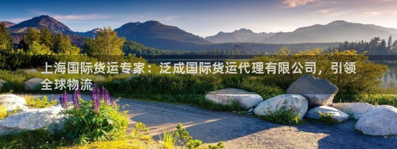 尊龙凯时提款一直审核中：上海国际货运专家：泛成国际货运代