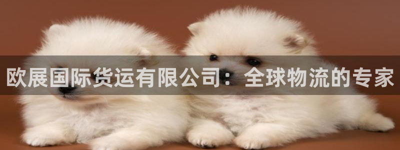 尊龙凯时取钱很慢：欧展国际货运有限公司：全球物流的专家