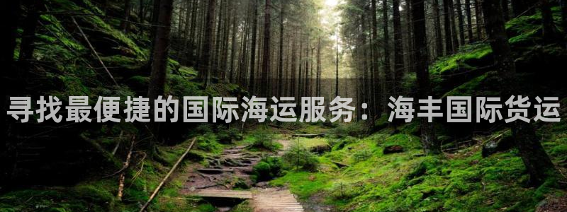 尊龙下载推荐网站：寻找最便捷的国际海运服务：海丰国际货运