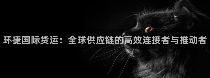 尊龙凯时赞助：环捷国际货运：全球供应链的高效连接者与推动